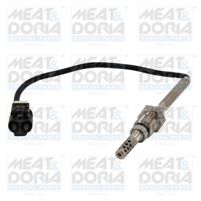 Sensor, exhaust gas temperature
